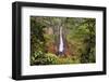 Catarata Del Toro Waterfall, in the mountains of Bajos del Toro Amarillo, Sarchi, Costa Rica-Adam Jones-Framed Photographic Print