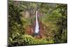 Catarata Del Toro Waterfall, in the mountains of Bajos del Toro Amarillo, Sarchi, Costa Rica-Adam Jones-Mounted Photographic Print