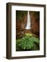 Catarata Del Toro Waterfall, in the mountains of Bajos del Toro Amarillo, Sarchi, Costa Rica-Adam Jones-Framed Photographic Print