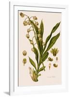 Catasetum Hookeri-Weddell-Framed Giclee Print