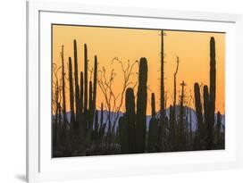 Catavina Desert, Baja California, Mexico-Art Wolfe-Framed Photographic Print