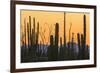 Catavina Desert, Baja California, Mexico-Art Wolfe-Framed Photographic Print