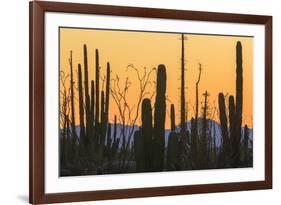 Catavina Desert, Baja California, Mexico-Art Wolfe-Framed Premium Photographic Print