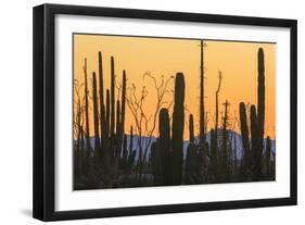 Catavina Desert, Baja California, Mexico-Art Wolfe-Framed Photographic Print