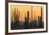 Catavina Desert, Baja California, Mexico-Art Wolfe-Framed Photographic Print