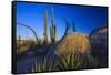 Catavina Desert, Baja California, Mexico-Art Wolfe-Framed Stretched Canvas