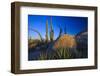 Catavina Desert, Baja California, Mexico-Art Wolfe-Framed Photographic Print