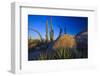 Catavina Desert, Baja California, Mexico-Art Wolfe-Framed Photographic Print