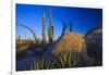 Catavina Desert, Baja California, Mexico-Art Wolfe-Framed Photographic Print