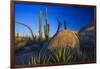 Catavina Desert, Baja California, Mexico-Art Wolfe-Framed Photographic Print