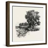 Catawba Vineyard, Pelee Island, Canada, Nineteenth Century-null-Framed Giclee Print