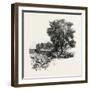 Catawba Vineyard, Pelee Island, Canada, Nineteenth Century-null-Framed Giclee Print