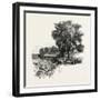 Catawba Vineyard, Pelee Island, Canada, Nineteenth Century-null-Framed Giclee Print