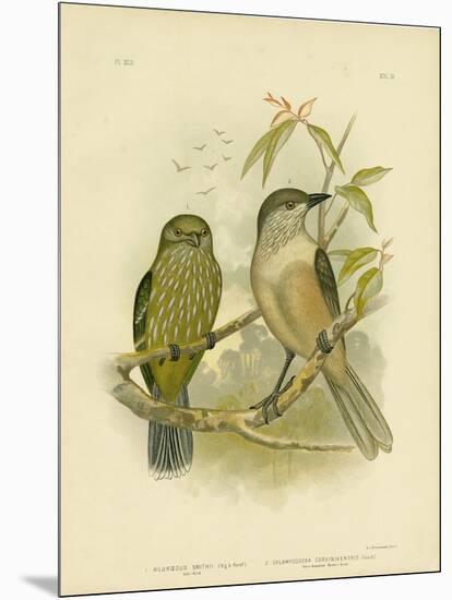 Catbird, 1891-Gracius Broinowski-Mounted Giclee Print