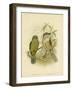 Catbird, 1891-Gracius Broinowski-Framed Giclee Print