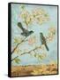 Catbirds & Blooms-Pamela Gladding-Framed Stretched Canvas