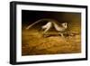 Catch Me If You Can-Michael Jackson-Framed Giclee Print