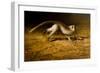 Catch Me If You Can-Michael Jackson-Framed Giclee Print