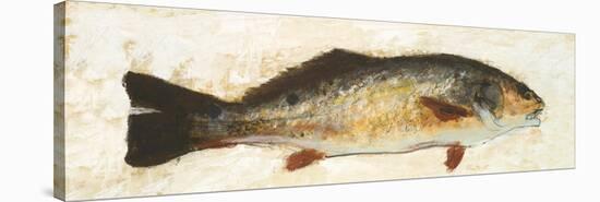 Catch of the Day I-Walt Johnson-Stretched Canvas