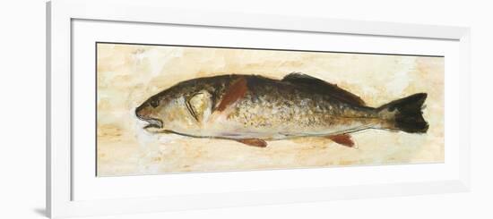 Catch of the Day II-Walt Johnson-Framed Art Print