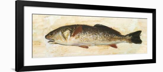 Catch of the Day II-Walt Johnson-Framed Art Print