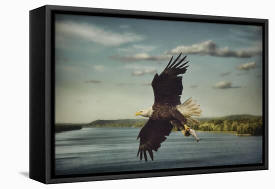Catch of the Day-Jai Johnson-Framed Stretched Canvas