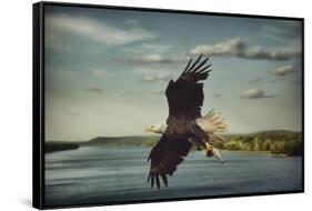 Catch of the Day-Jai Johnson-Framed Stretched Canvas