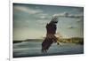 Catch of the Day-Jai Johnson-Framed Giclee Print