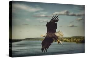 Catch of the Day-Jai Johnson-Stretched Canvas