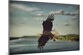 Catch of the Day-Jai Johnson-Mounted Giclee Print