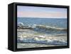 Catch the Wave-Bruce Dumas-Framed Stretched Canvas