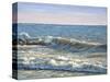Catch the Wave-Bruce Dumas-Stretched Canvas