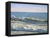 Catch the Wave-Bruce Dumas-Framed Stretched Canvas