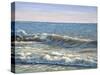 Catch the Wave-Bruce Dumas-Stretched Canvas