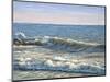 Catch the Wave-Bruce Dumas-Mounted Giclee Print