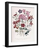 Catchfly-Jane W. Loudon-Framed Giclee Print