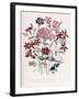 Catchfly-Jane W. Loudon-Framed Giclee Print