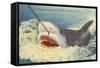 Catching a Shark, Marineland, Florida-null-Framed Stretched Canvas