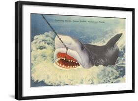 Catching a Shark, Marineland, Florida-null-Framed Art Print