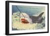 Catching a Shark, Marineland, Florida-null-Framed Art Print