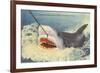 Catching a Shark, Marineland, Florida-null-Framed Art Print