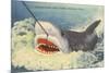 Catching a Shark, Marineland, Florida-null-Mounted Art Print