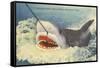 Catching a Shark, Marineland, Florida-null-Framed Stretched Canvas