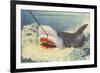 Catching a Shark, Marineland, Florida-null-Framed Premium Giclee Print