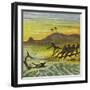 Catching a Shark-Ernest Henry Griset-Framed Giclee Print