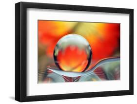 Catching Colors on a Spoon-Heidi Westum-Framed Photographic Print