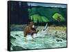 Catching Salmon-Bruce Bontrager-Framed Stretched Canvas