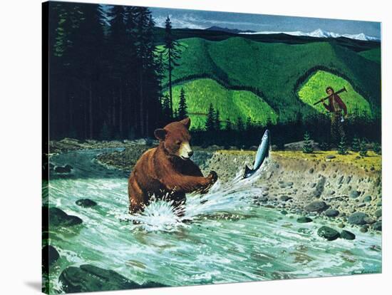 Catching Salmon-Bruce Bontrager-Stretched Canvas