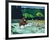 Catching Salmon-Bruce Bontrager-Framed Giclee Print