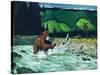 Catching Salmon-Bruce Bontrager-Stretched Canvas